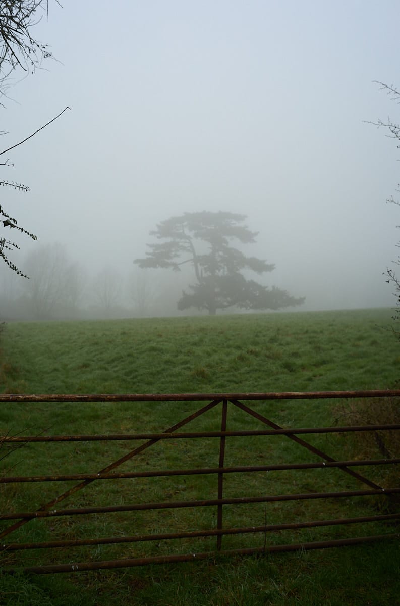 The Man on the Wrong Platform