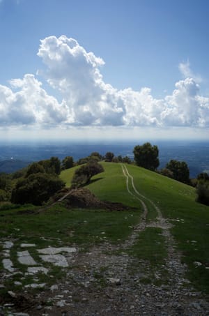 Back to Europe Post feature image