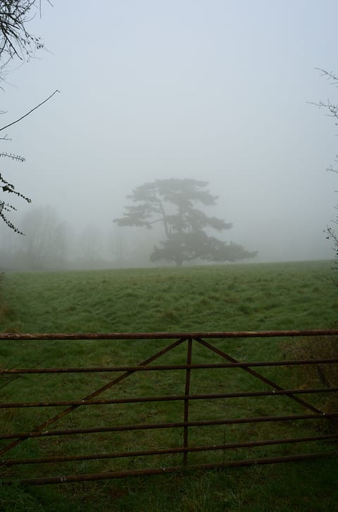 The Man on the Wrong Platform Post feature image